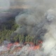 Пожар в Чернобыле не угрожает Курской области, заявили в администрации
