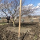 В каких случаях жителям Курской области можно выходить из дома
