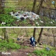 В Курске рядом с санаторием «Соловьиные зори» ликвидировали свалку