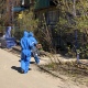 Более 80% больных коронавирусом курян лечатся дома