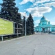В Курской области снизилась смертность