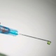 В Курске назвали адреса, где пройдет вакцинация животных от бешенства