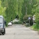 В Курске на дорогу рухнуло дерево