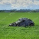 В страшной аварии под Курском погиб водитель