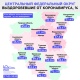 В Курской области почти 44% пациентов выздоровели от коронавируса