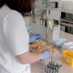 В Курск поступили первые экспресс-тесты на антитела к коронавирусу