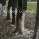 Под Курском нашли «потемкинские деревья». Их побелили только с одной стороны
