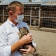 Губернатор привез корм для бездомных животных в приют под Курском