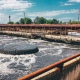 Курск затянула вонь с очистных сооружений