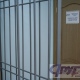 Обвиняемому курянину не понравилось сидеть в клетке. Он хотел отсудить 700 тысяч у Минфина и ФСИН