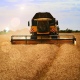 В Курской области закупили сельхозтехнику на 2 миллиарда рублей