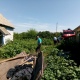 Под Курском пожар унес две жизни