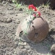 Под Курском выявили бесхозный памятник советским воинам