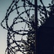 Житель Курской области обокрал спящих брата и мать