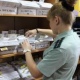 Житель Курска разом оплатил 96 штрафов ГИБДД