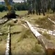 Под Курском продолжают рубить березовую рощу