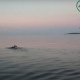 Курянин побил рекорд на Ладожском озере под песни «Сектора Газа»