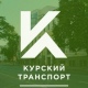 Курская область получит из Москвы 20 троллейбусов и 40 автобусов