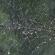 В Курске ожидаются похолодание, грозы и дожди