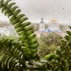 В Курской области обещают прохладную и дождливую погоду