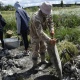 Под Курском нашли упавший военный самолет