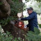 Мэр Курска пилил деревья на проспекте Хрущева