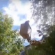 В Курске спасли кошку, двое суток просидевшую на дереве