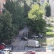 В Курске дерево рухнуло на машины