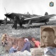 Курские поисковики установили имя пилота, погибшего в 1943 году под Понырями