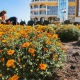 В Курске на Театральной площади начали высаживать цветы