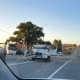 После аварии под Курском по дороге разбежались свиньи