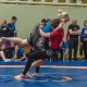 Курские борцы «озолотились» на первенстве и чемпионате ЦФО