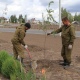 В Курске на проспекте Дружбы посадят 5 тысяч деревьев