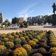 В Курске создадут комиссию по приемке Театральной площади