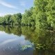 Какая погода ждет курян на выходных