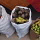 В Курске на овощной ярмарке носить мешки с картошкой покупателям помогут волонтеры