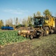 В Курской области завершают уборку урожая