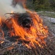 Курянка, разведя костер, едва не спалила соседский сарай