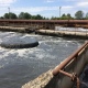 Курские предприятия, сбрасывающие в реки химикаты, пойдут под суд