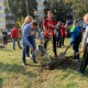 Под Курском появилась Аллея доноров