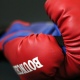 В Курске прокуратура проверяет информацию о смерти 17-летнего боксера