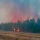 В Курской области подожгли лес, пожар тушили несколько часов