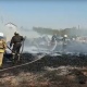 В Курске и области тушат десятки пожаров