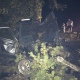 Пикник под Курском завершился гибелью двух человек