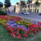 В Курске цветники готовят к зиме