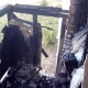 В Курской области в многоквартирном доме горело два этажа