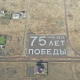 Под Курском жители Кукуевки высадили еще одну надпись из ржи