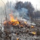 91 пожар зарегистрирован за сутки в Курской области
