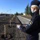 В Курске задержаны подозреваемые в краже голубых елей на проспекте Дружбы
