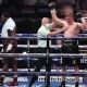 WBC: статус реванша Поветкин — Уайт пока не определен, британец временно отстранен